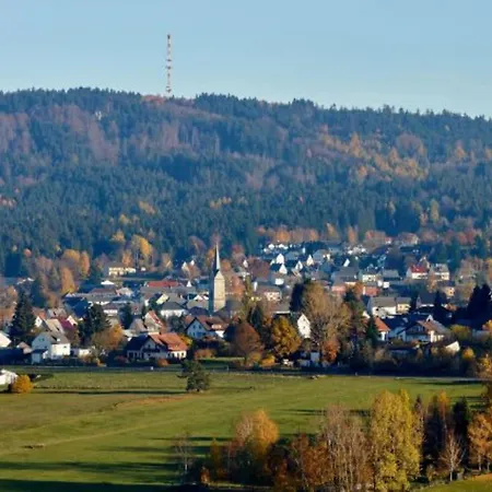 Апартаменты Fichtelnest Zell im Fichtelgebirge