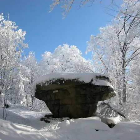 Апартаменты Fichtelnest Zell im Fichtelgebirge